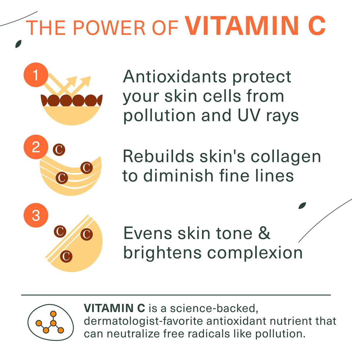 Botanic Tree Vitamin C Face Wash rich lather demonstrates gentle cleansing.