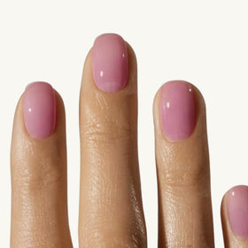 The Shield forming a chip-resistant coating for a durable top layer.