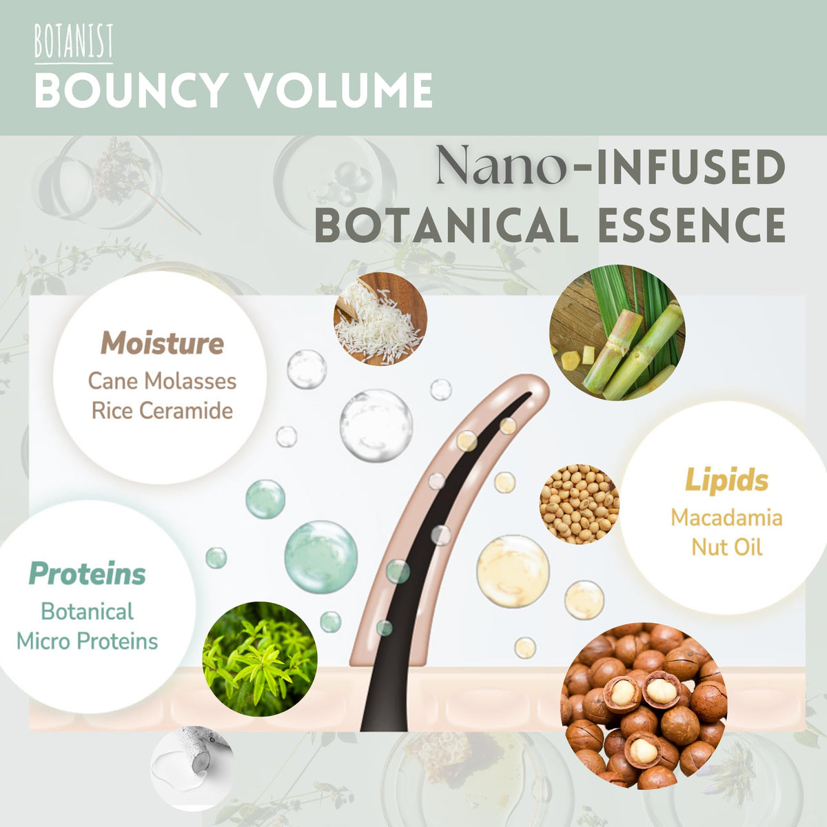Botanist Volume-boost bottle side demonstrating lift for fine hair