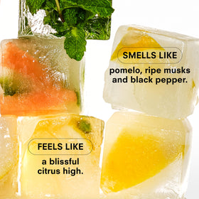 Citrush pomelo opening showcases bright citrus for an uplifting mood boost