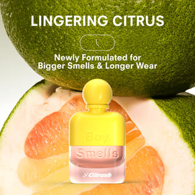 Soft woody base with ambroxan and white musk delivers a wearable finish