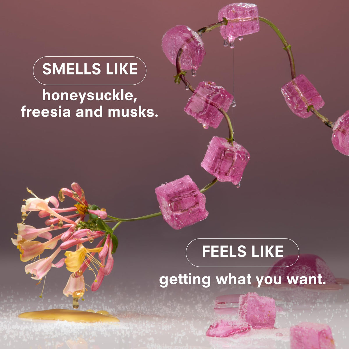 Boy Smells Sugar Baby lifestyle shot conveys warm florals vibe.