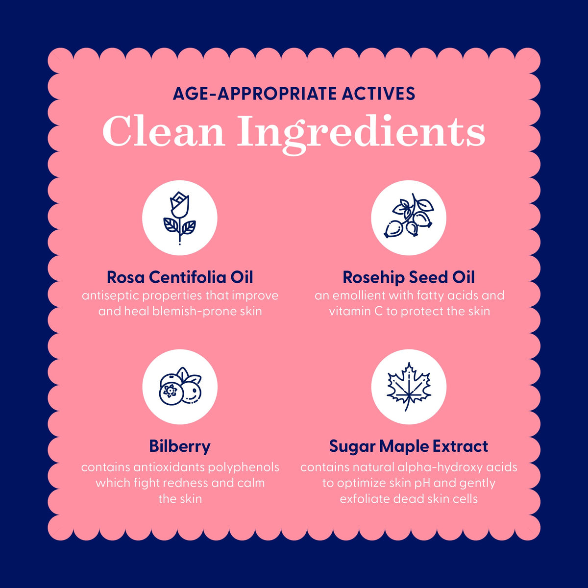 Close look at Bright Girl Calm+Bright mask ingredients including Rosa Centifolia and Rosehip oils