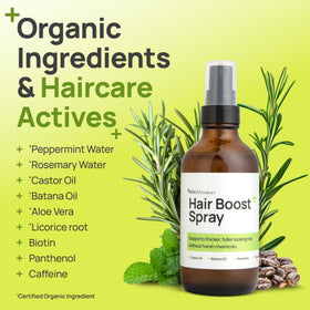 Brigs Naturals Hair Boost Spray rosemary water focus energizes the scalp.