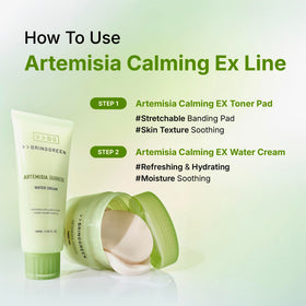 BRING GREEN Artemisia Calming EX Water Cream artemisia illustration signals calming botanicals