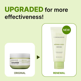 BRING GREEN Artemisia Calming EX Water Cream gel texture with fast absorption