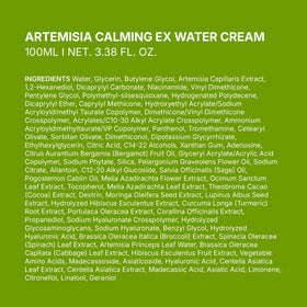 BRING GREEN Artemisia Calming EX Water Cream hyaluronic acids concept for deep moisture