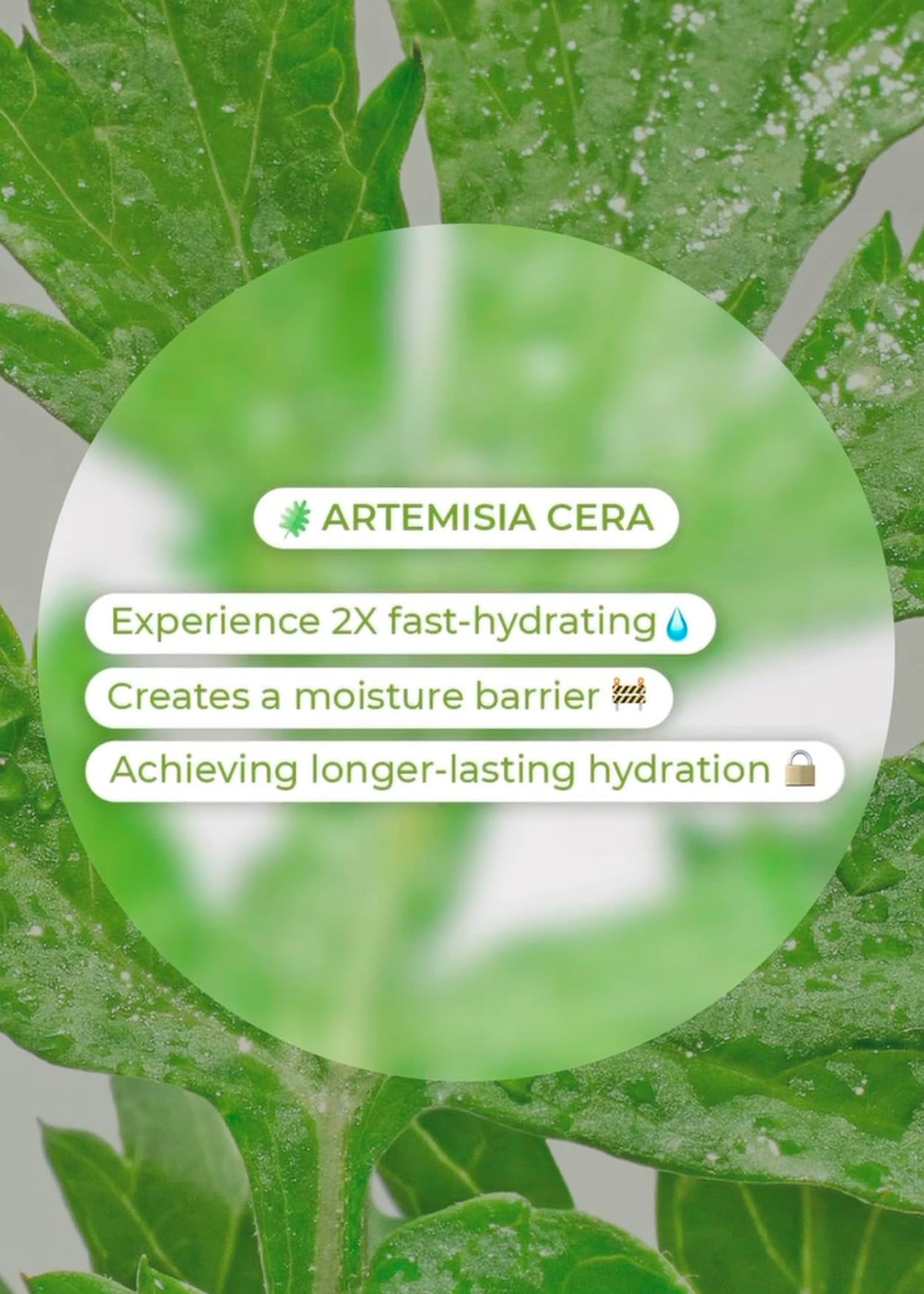 After full absorption BRING GREEN Artemisia Cera Calming Moisture Gel Cream yields glass skin glow.
