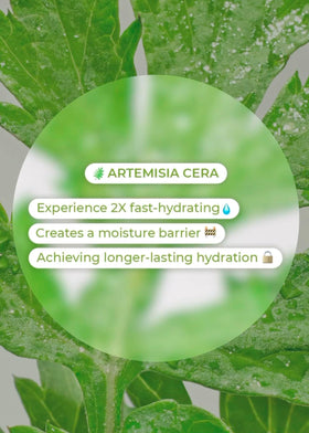 After full absorption BRING GREEN Artemisia Cera Calming Moisture Gel Cream yields glass skin glow.