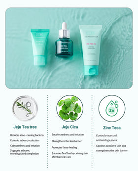BRING GREEN Tea Tree Cica Cream demonstrates non-greasy hydration