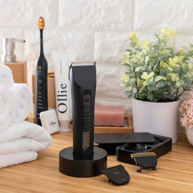 Brio Beardscape V1 kit included image highlighting an all-in-one solution.