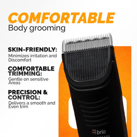 Brio Beardscape V1 and V2 compatibility with Body Blade attachment