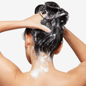 Image highlights fragrance notes Sparkling Cassis and Mint in Sunday shampoo