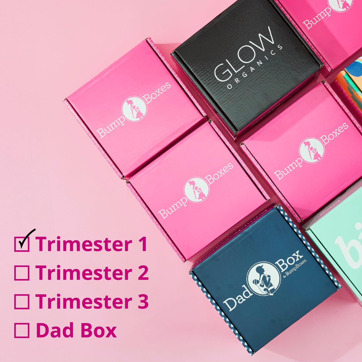 Bump Boxes mom-to-be holds gift, signaling support and celebration.