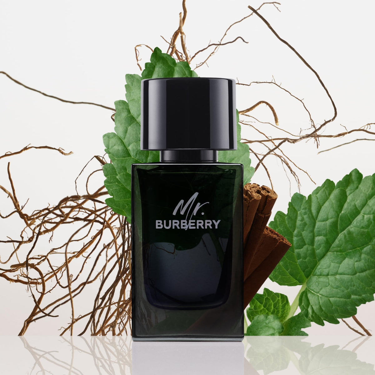 Burberry Mr. Burberry EDP bottle back label, premium packaging detail.