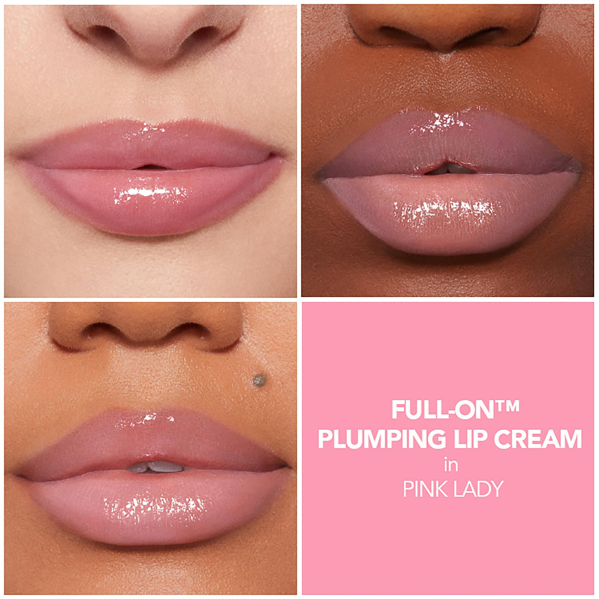 Buxom Full-On Pink Lady close up shows creamy color with tingling plump