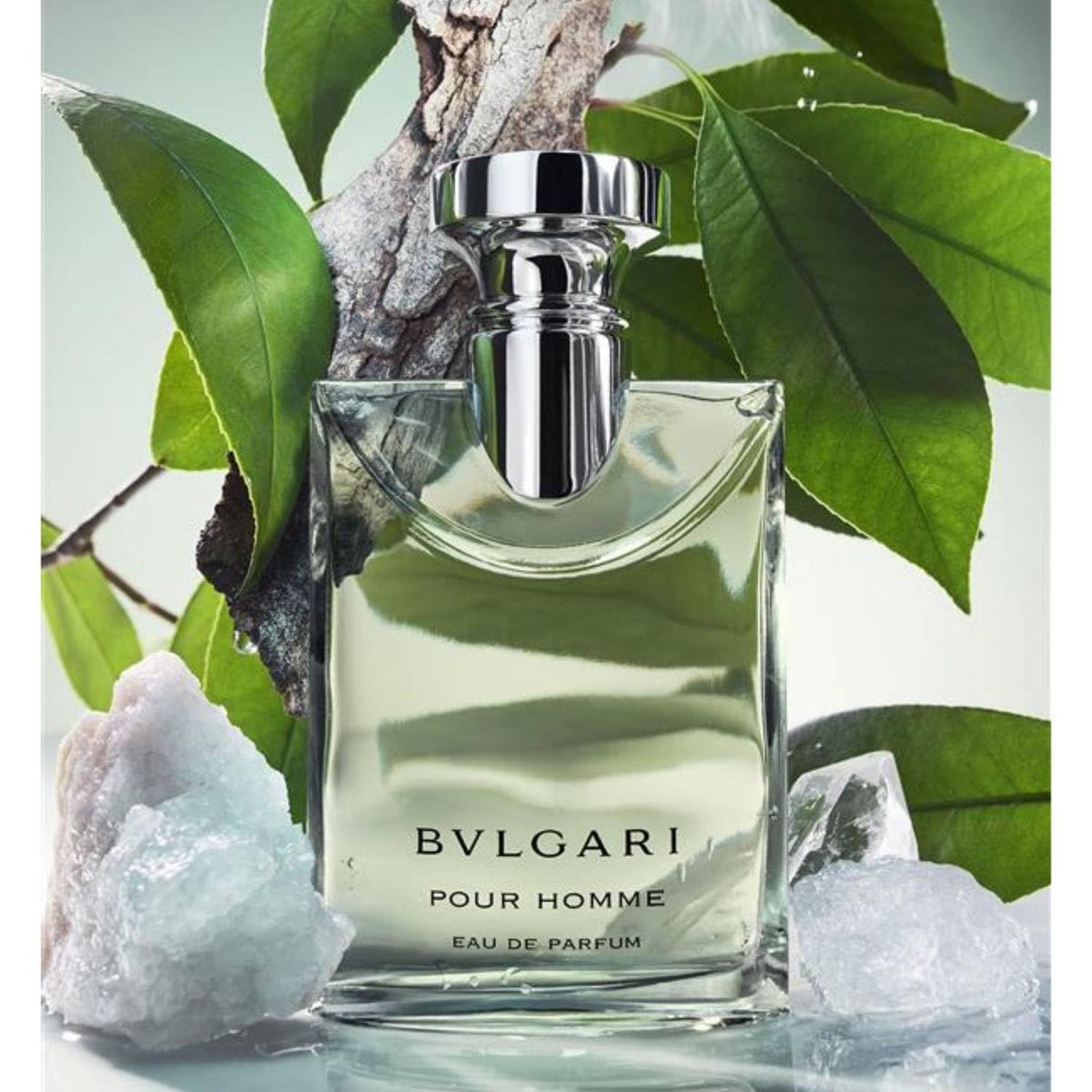 BVLGARI Pour Homme wood and musk detail enhances the warm aroma.