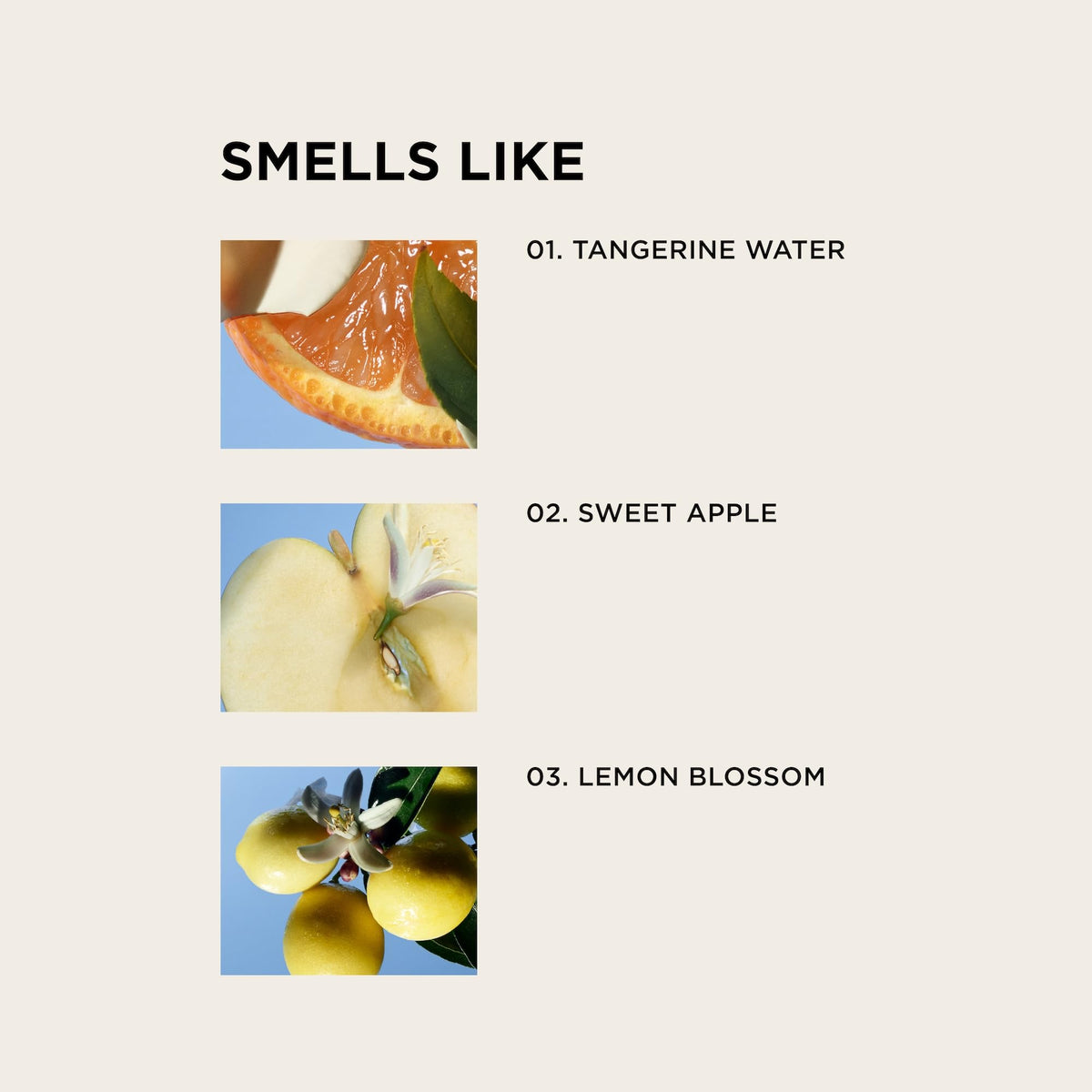 Citrus top notes accent bottle with tangerine water and lemon blossom