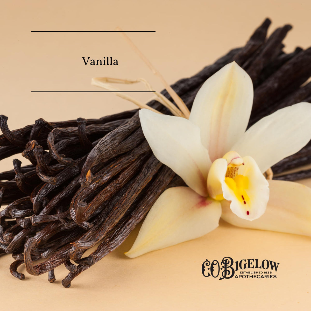 C.O. Bigelow ingredients: shea butter, almond oil, jojoba oil soften lips.