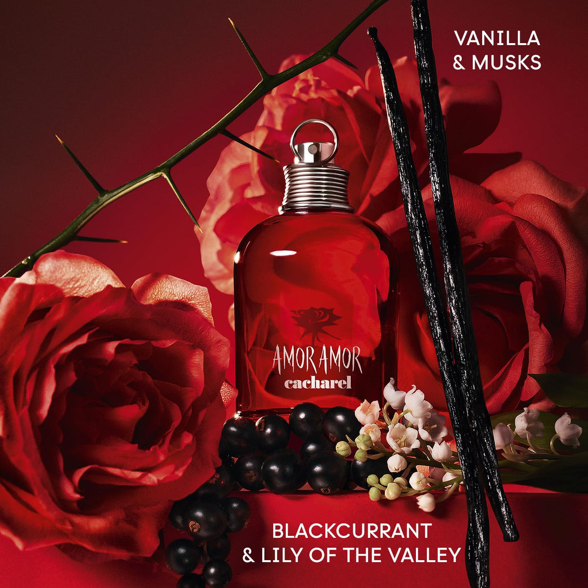 Cacharel Amor Amor 100ml bottle ready for date nights and daily wear