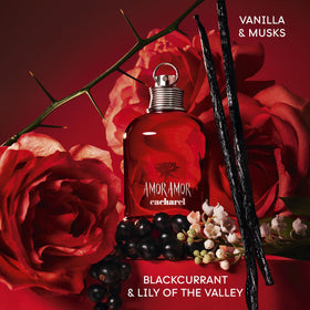 Cacharel Amor Amor 100ml bottle ready for date nights and daily wear