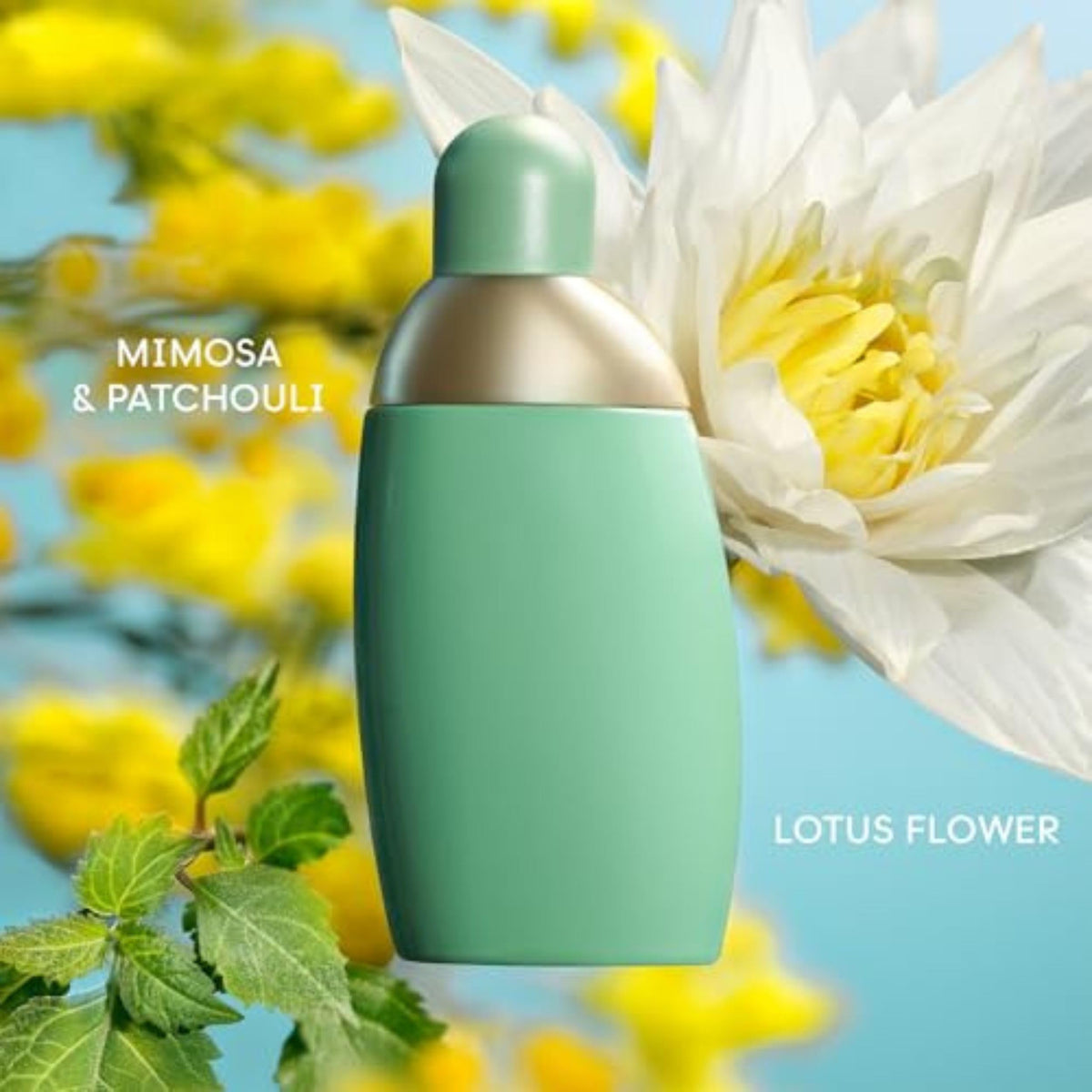 Cacharel Eden bottle closeup highlighting delicate floral notes for everyday allure.