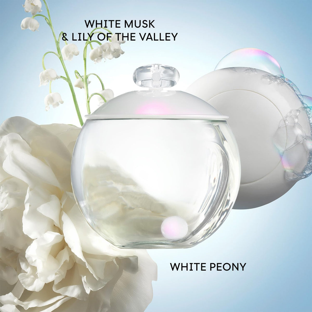 Cacharel Noa top notes motif, hinting at incense and pepper for intrigue.