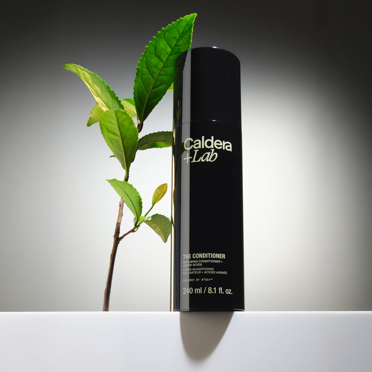 Caldera + Lab The Conditioner cream texture highlights a lightweight, non-greasy conditioning experience.