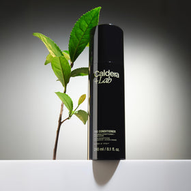 Caldera + Lab The Conditioner cream texture highlights a lightweight, non-greasy conditioning experience.