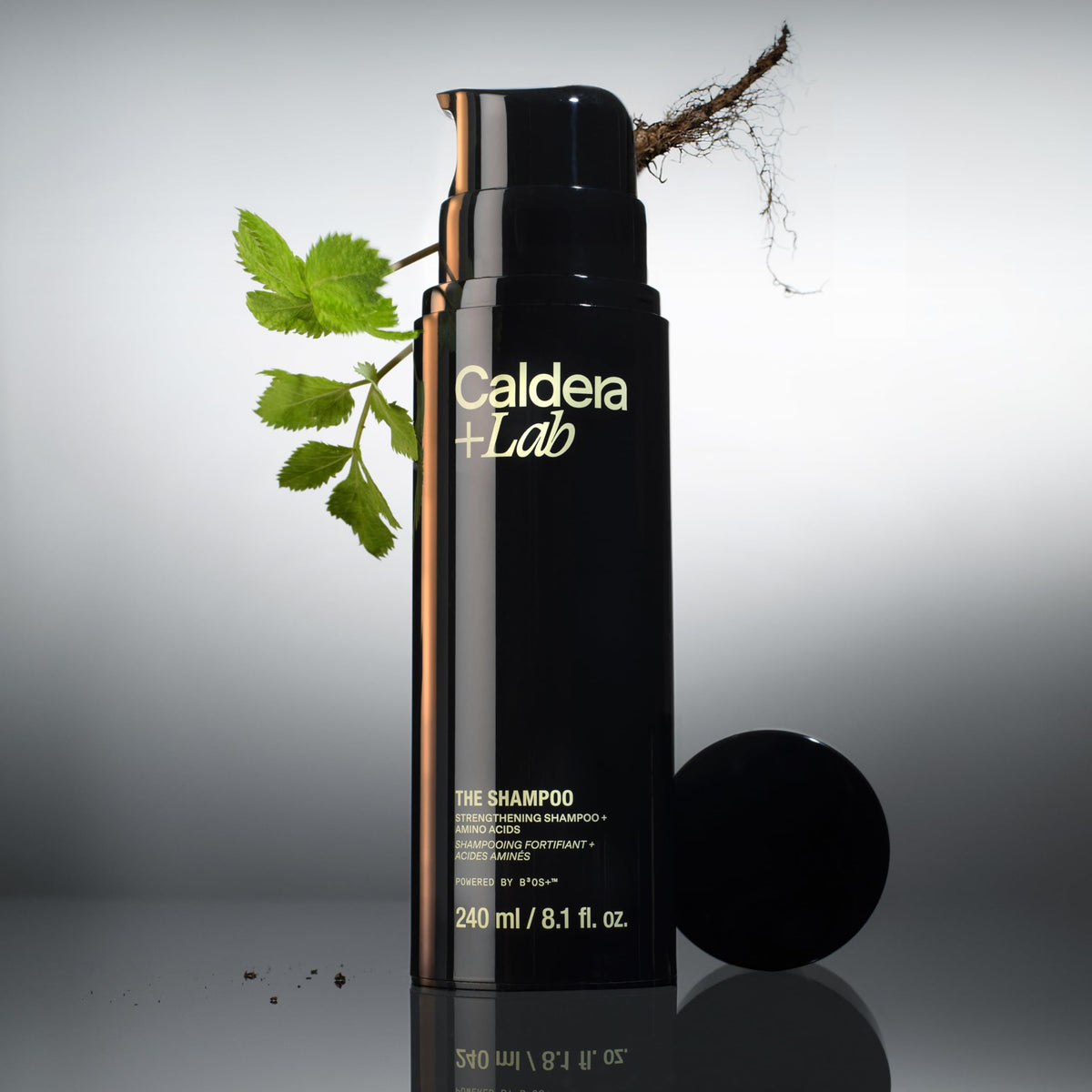 Caldera + Lab The Shampoo bottle features Korean Angelica and aloe for scalp comfort