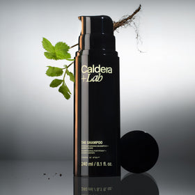 Caldera + Lab The Shampoo bottle features Korean Angelica and aloe for scalp comfort
