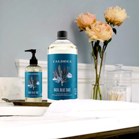 Caldrea Aloe Vera gel soothing presence complements hand washing