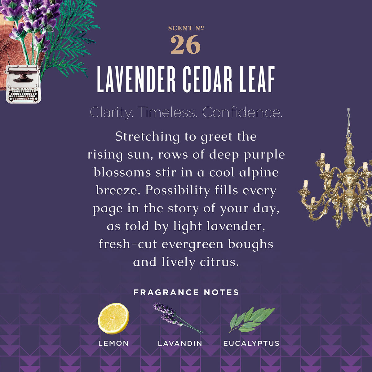 Caldrea Lavender Cedar Leaf close-up highlights essential oils and calming aroma.
