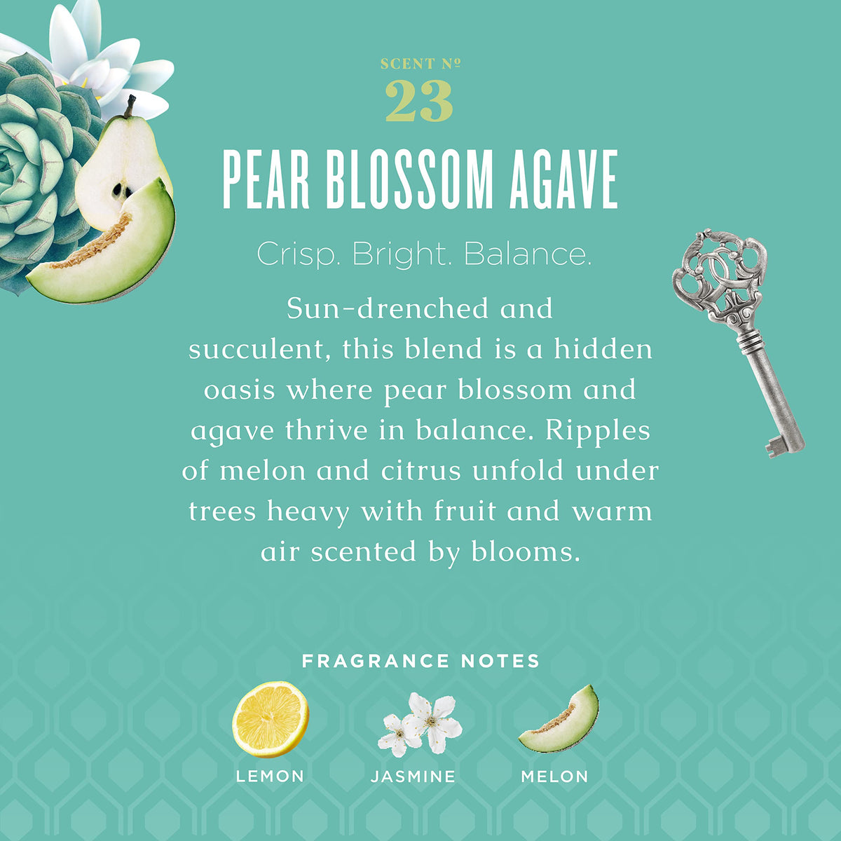 Caldrea Pear Blossom Agave ingredients closeup featuring Aloe Vera and Olive Oil.