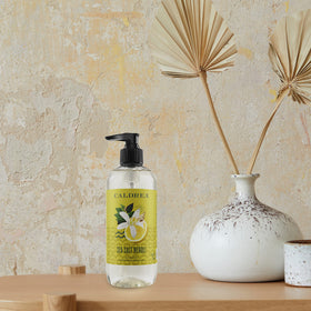 Caldrea Sea Salt Neroli pump dispenser ready for quick hand cleansing.