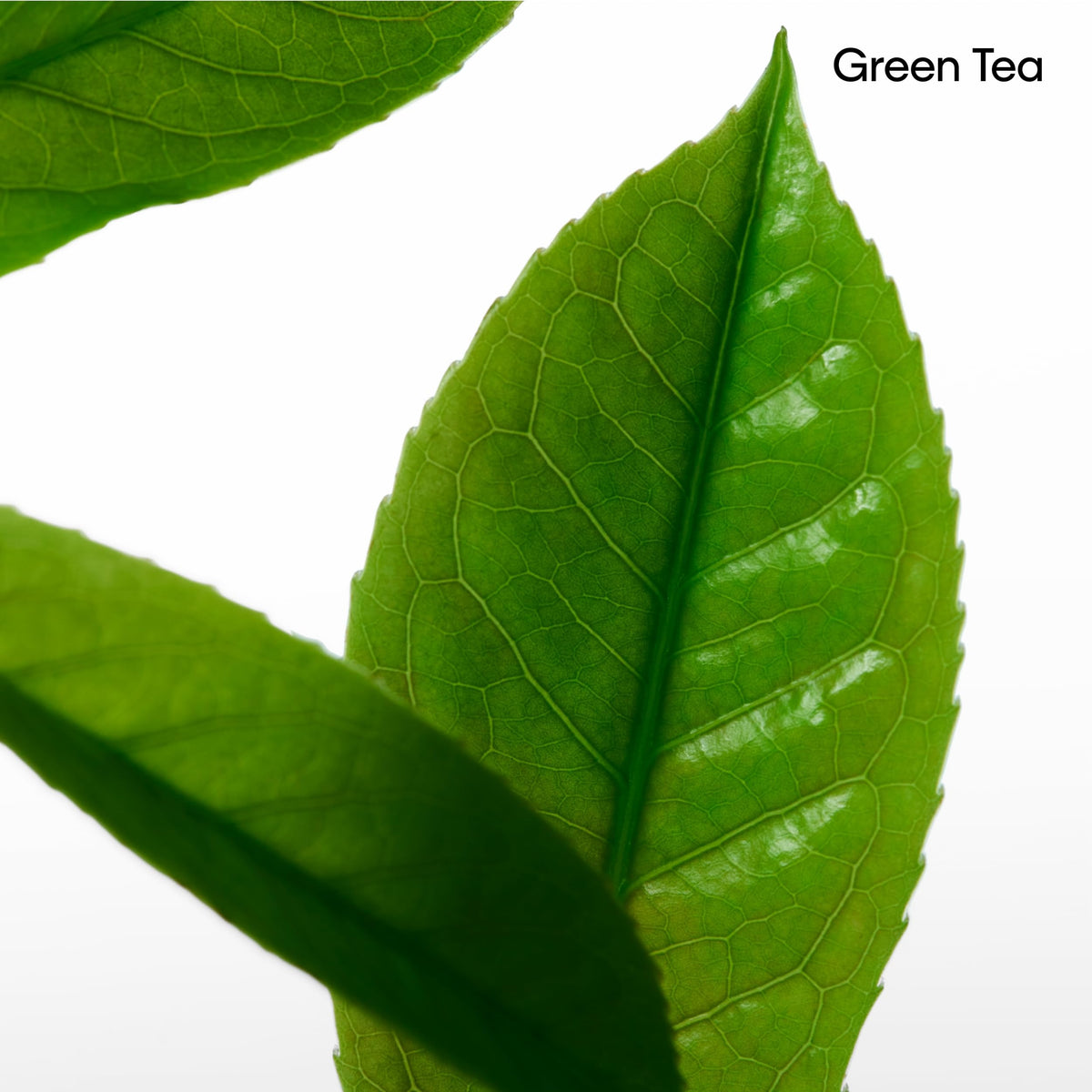 Notes closeup uses green tea imagery to express revitalizing energy