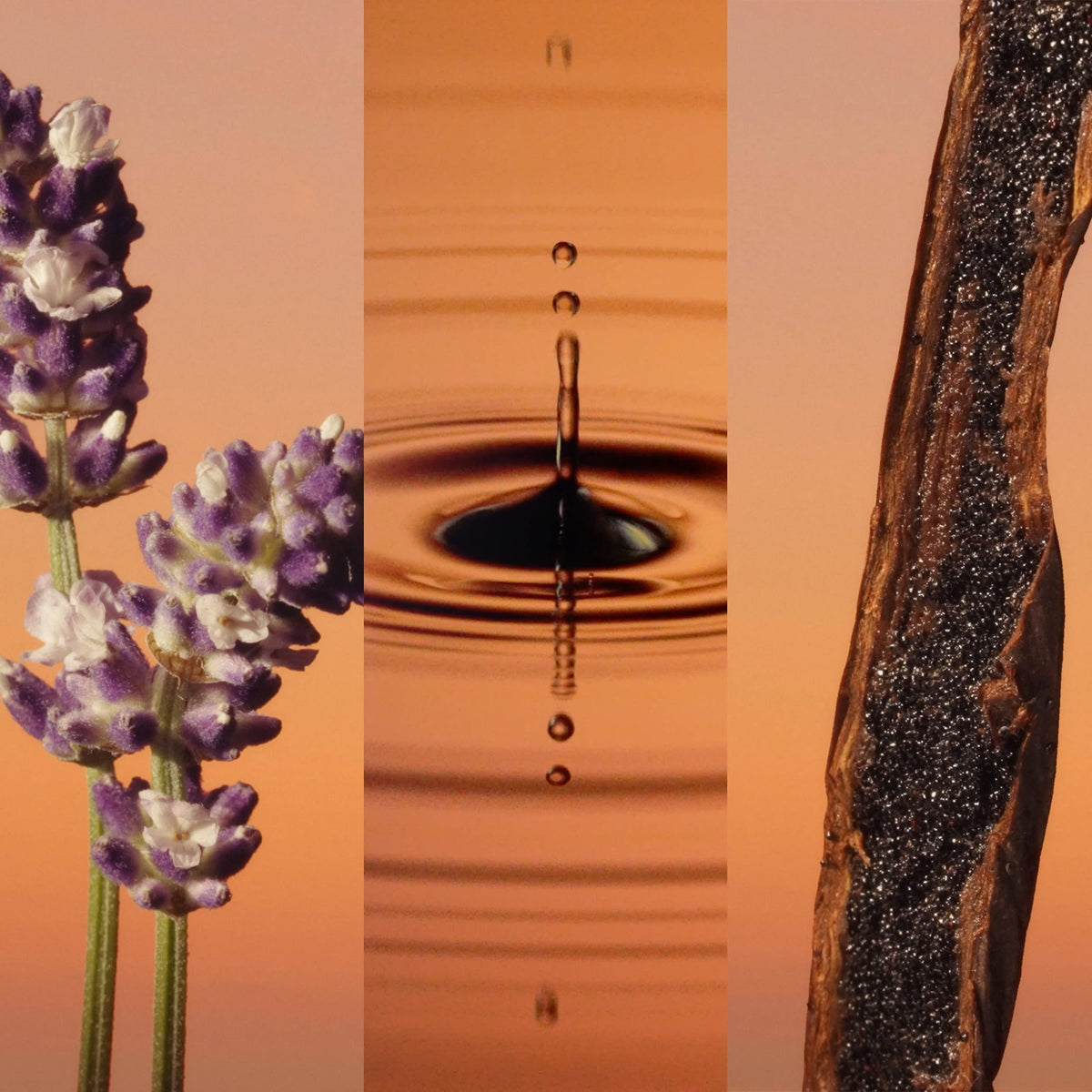 Calvin Klein Eternity For Men Parfum on sunset display, suggests romantic evenings