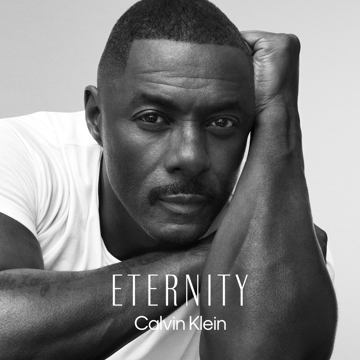 Calvin Klein Eternity for Men EDP top notes of sage and apple in the fragrance profile