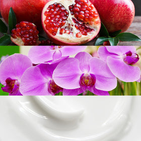 Calvin Klein Euphoria lotion highlighting black orchid for glamour and subtle fragrance