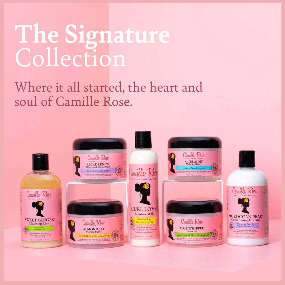 Camille Rose Fresh Curl Cream on curly hair for detangling and softness
