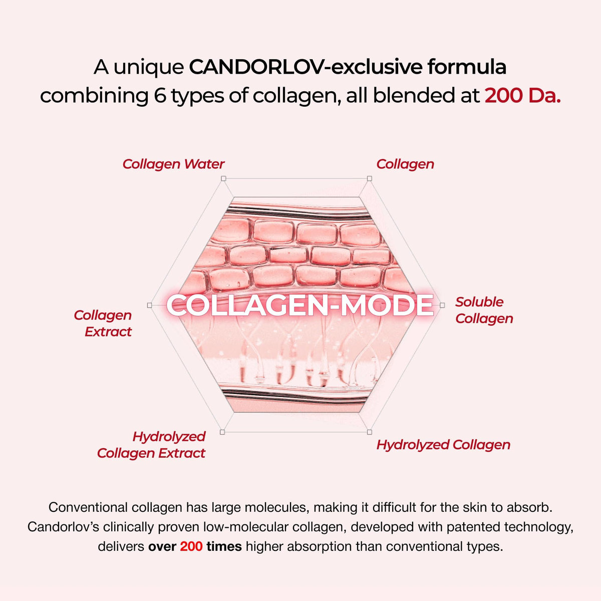 CANDORLOV CDL anti-aging skin close-up focusing on elasticity support.