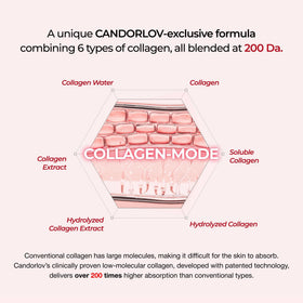 CANDORLOV CDL anti-aging skin close-up focusing on elasticity support.