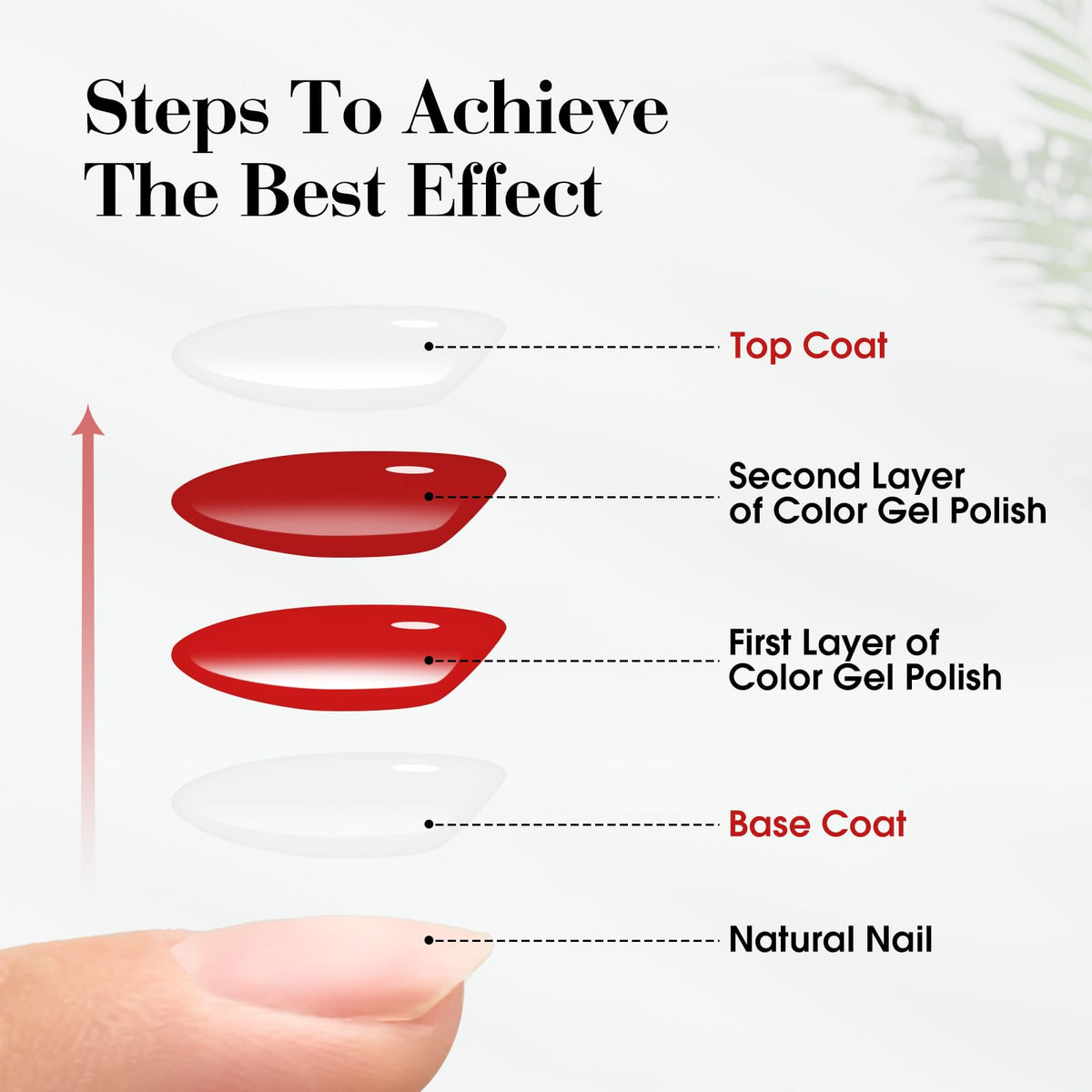 CANNI base and top coat required for best results