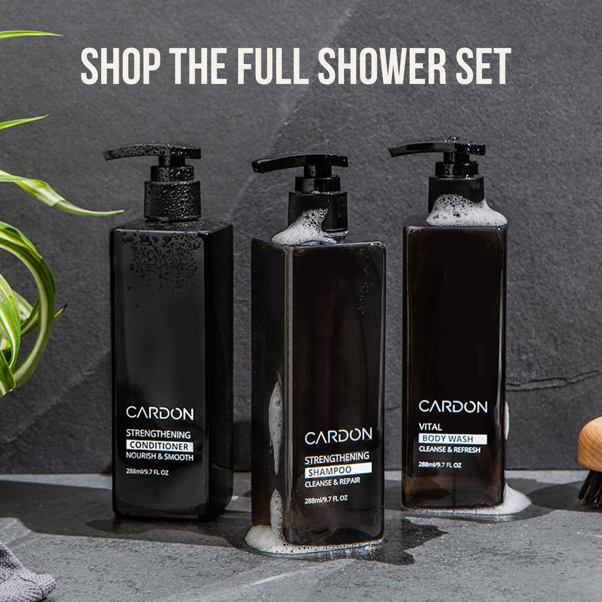 Cardon Cica soothing ingredient close-up for gentle daily use.