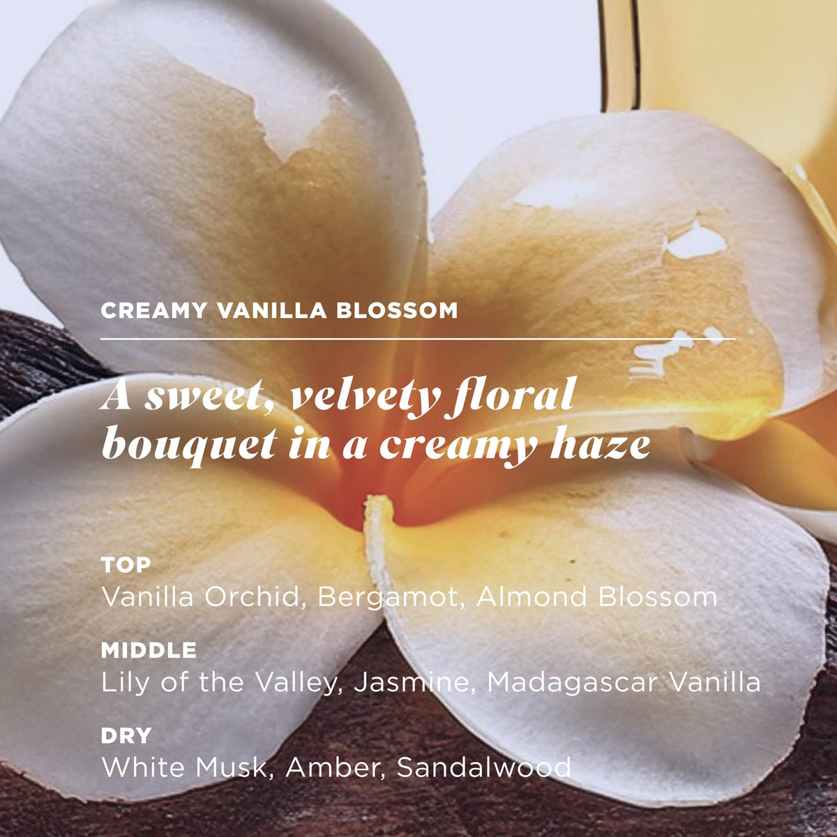 Caress Vanilla Orchid fragrance notes highlighted in the product scene.