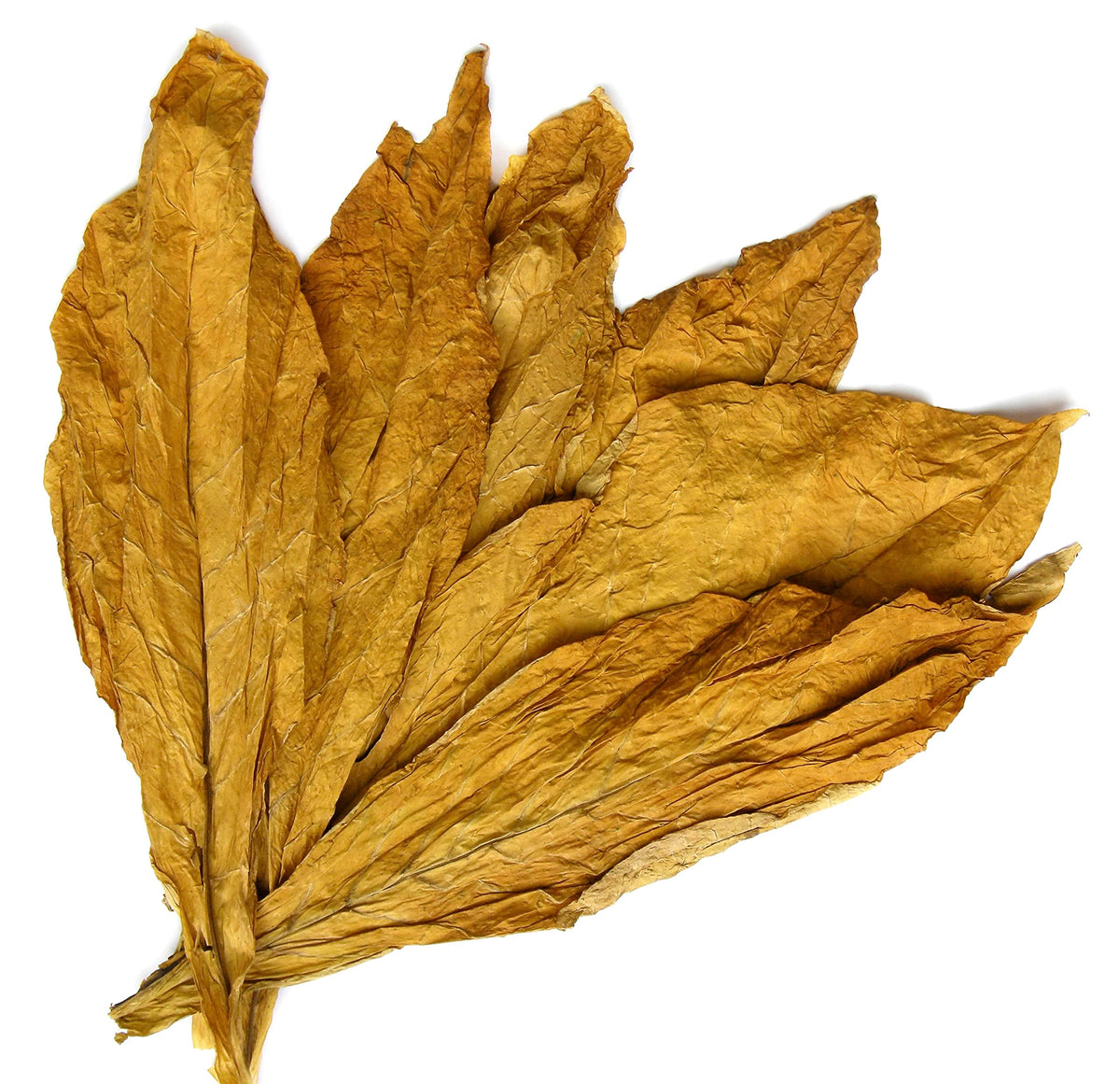 Carolina Castile Soap USA-made packaging supports responsible manufacturing.