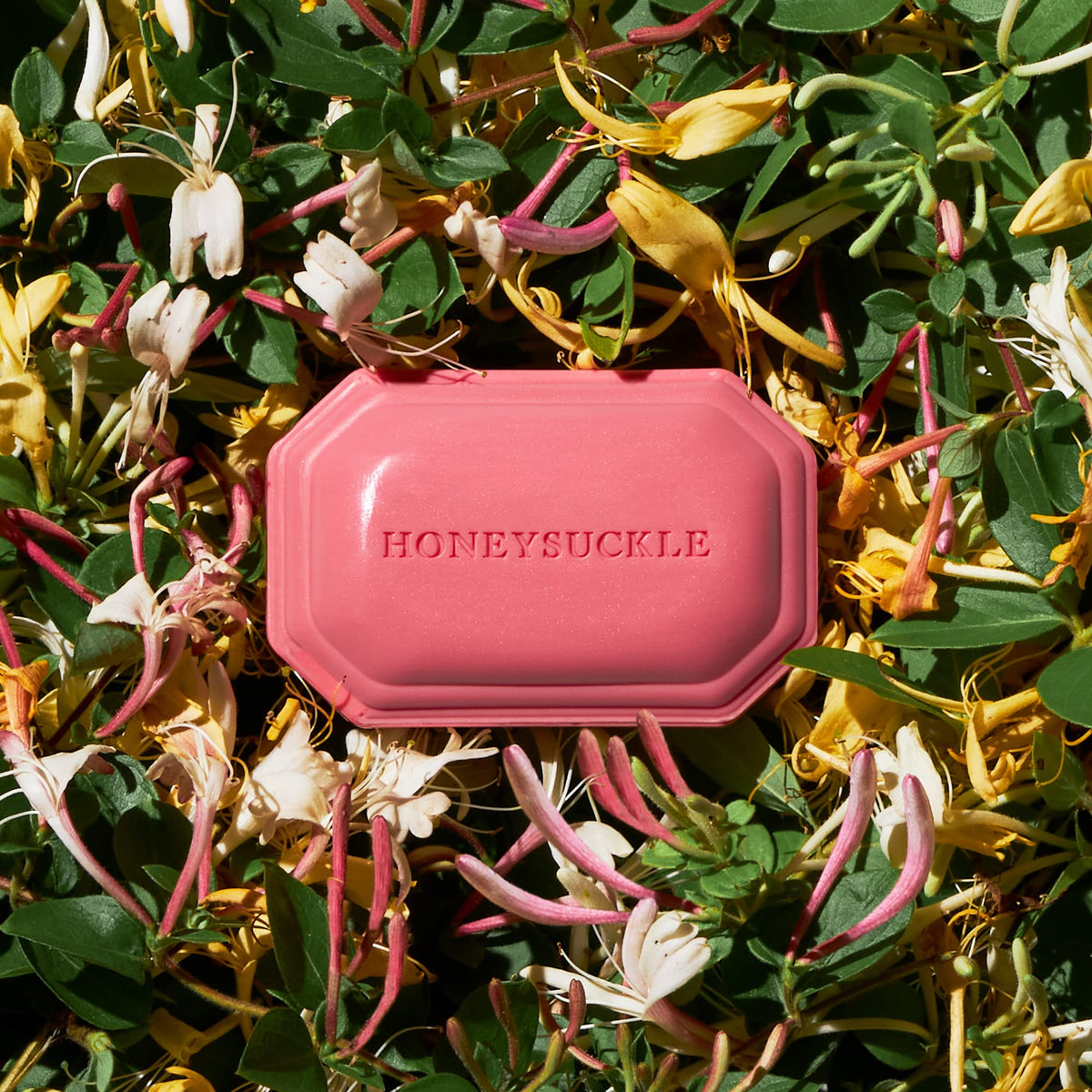 Caswell-Massey Honeysuckle soap bar gift-ready packaging symbolizes thoughtful indulgence.