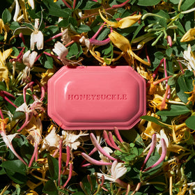Caswell-Massey Honeysuckle soap bar gift-ready packaging symbolizes thoughtful indulgence.