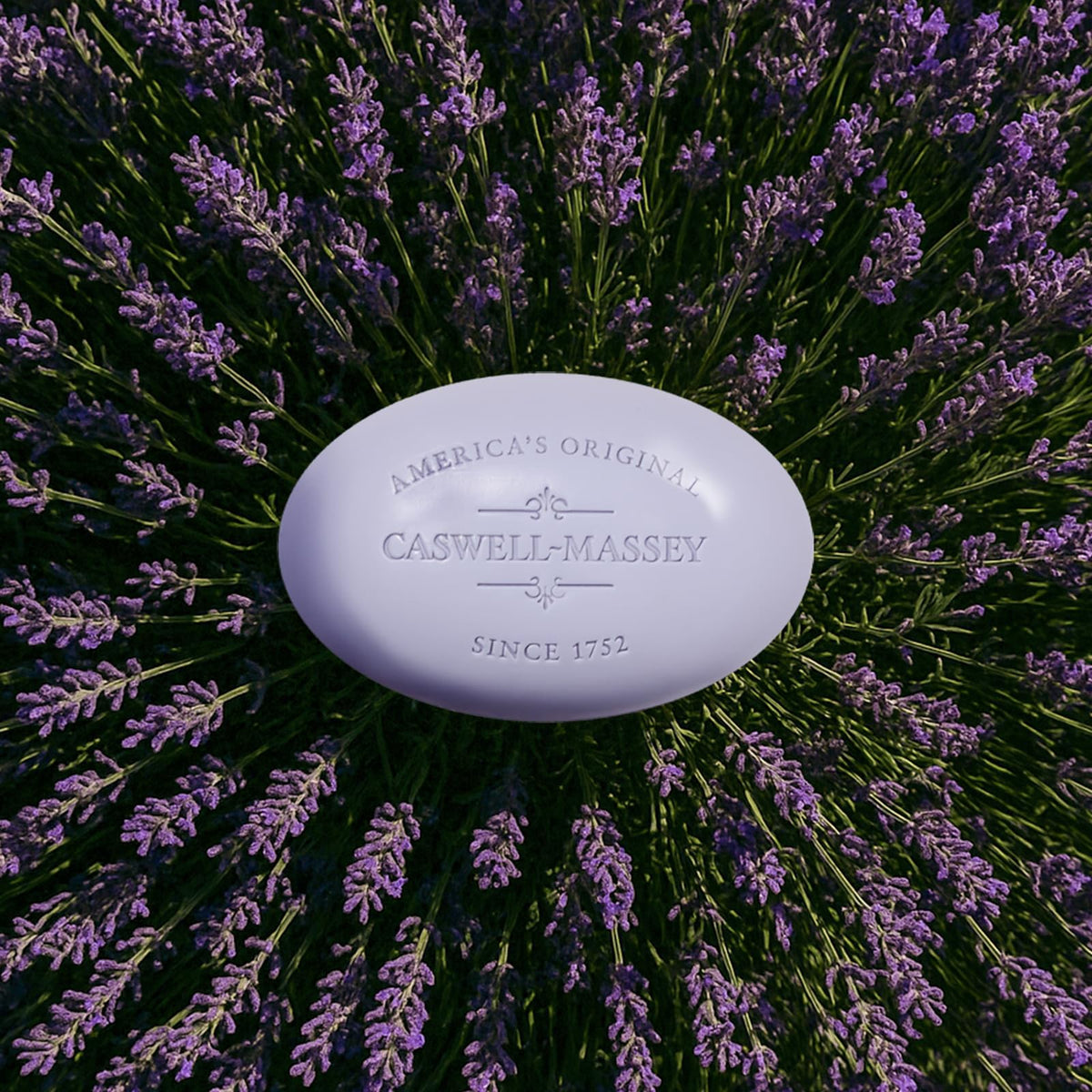 Caswell-Massey Lavender bar soap glycerin-rich formula for hydrated skin