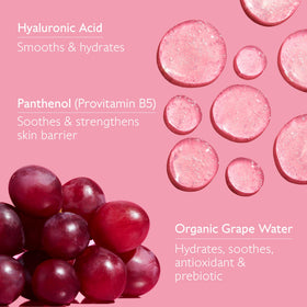 Caudalie VinoHydra hyaluronic acid drop illustration for plump hydrated skin